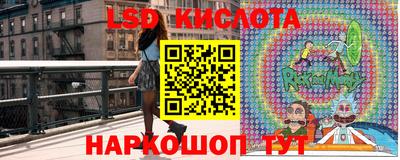 гашик Краснодар