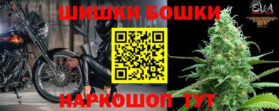 СК Краснознаменск
