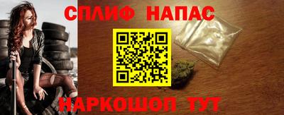 СК Краснознаменск