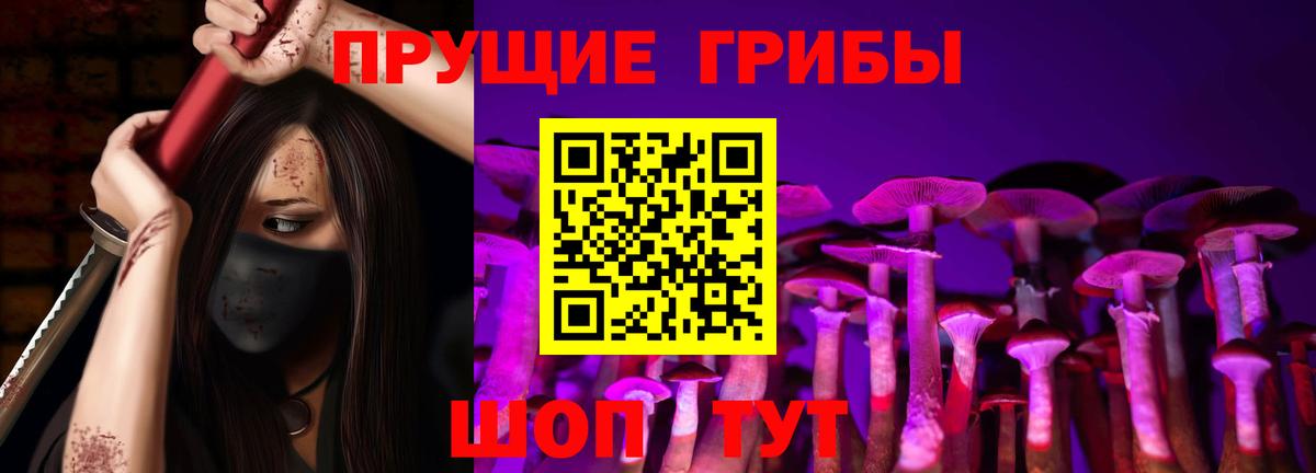 Псилоцибиновые грибы Cubensis Зима