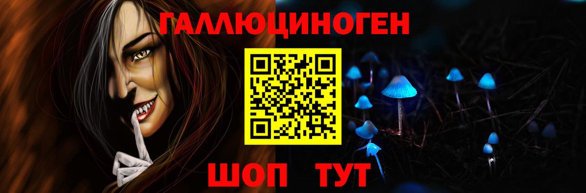Зима  Галлюциногенные грибы Psilocybe  Вход с VPN 